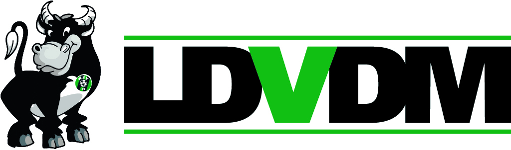 LDVDM update